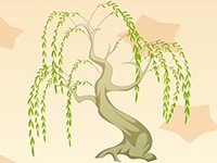 迎風起舞的柳樹