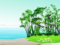 生長(zhǎng)最快的植物——竹子